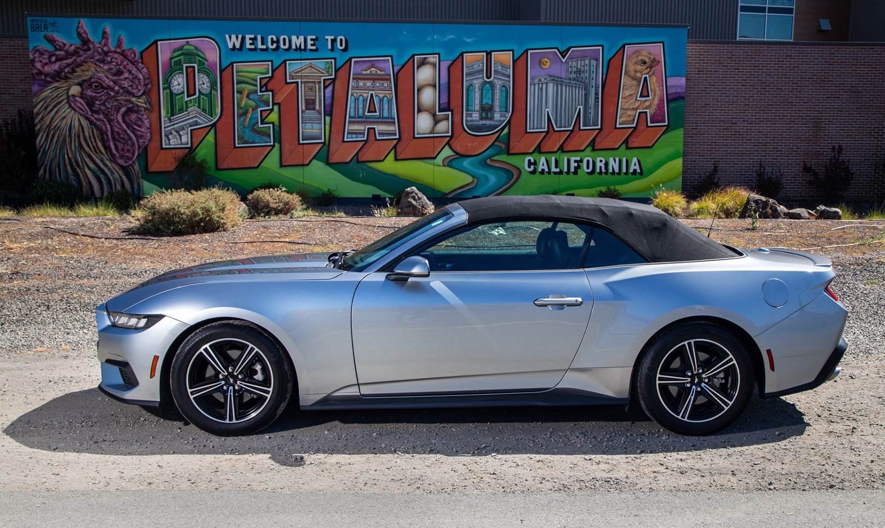 2025 Mustang Eco-Boost Convertible - Image 3
