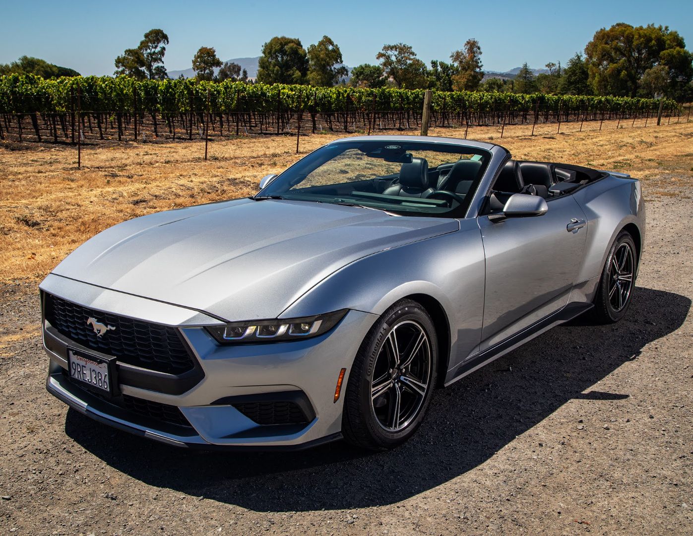 2025 Mustang Eco-Boost Convertible - Image 6