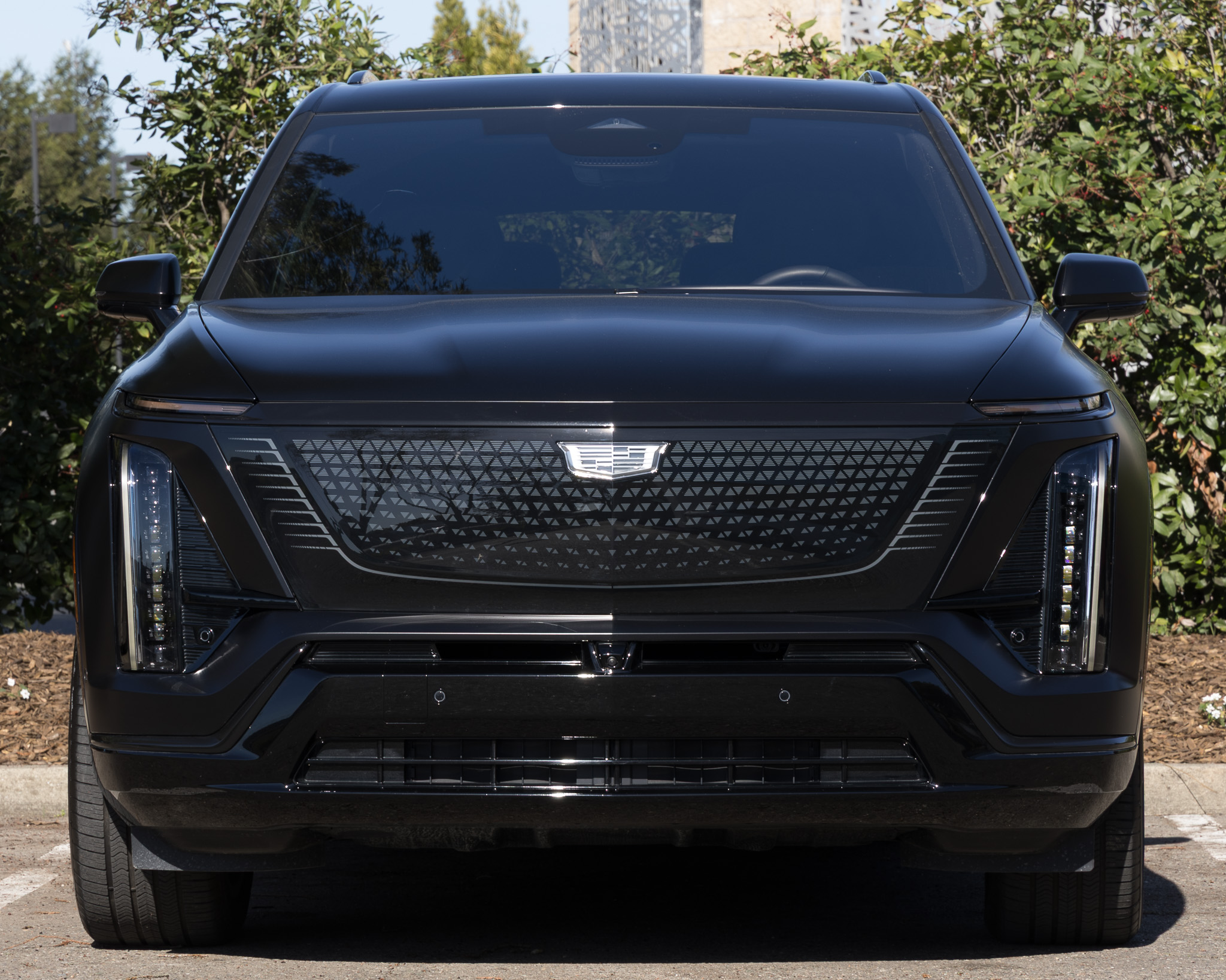 Cadillac Vistiq - Image 6